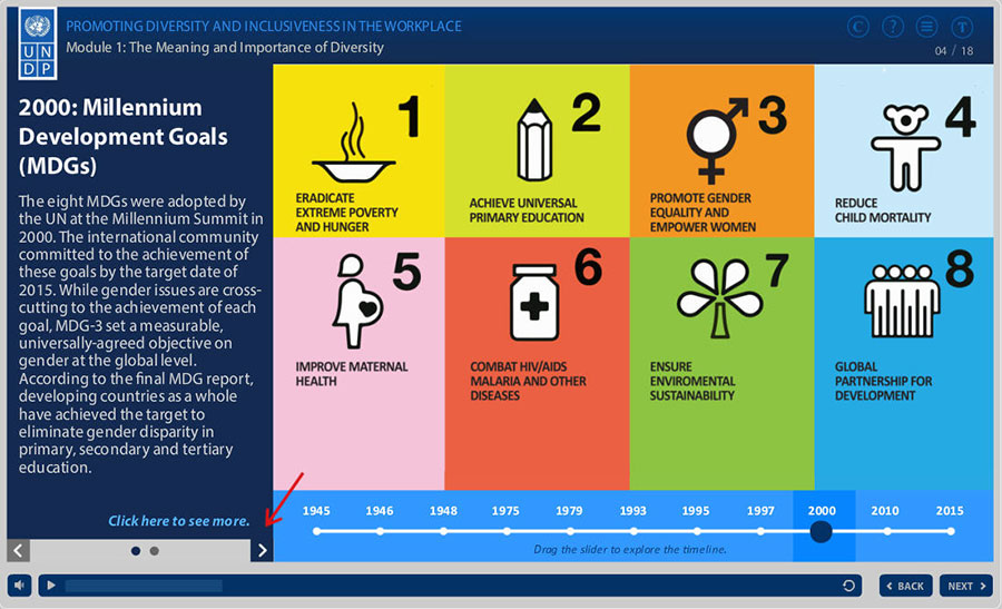 UN Development Programme (UNDP) screenshot 2