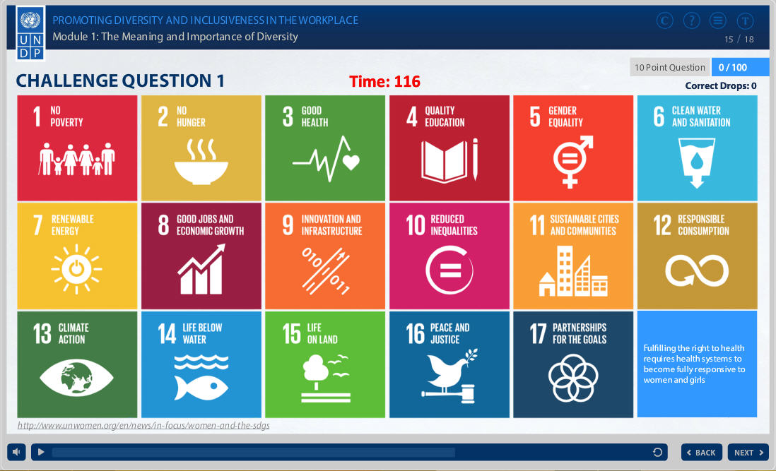 UN Development Programme (UNDP) screenshot 4